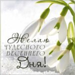 Чудесного весеннего дня