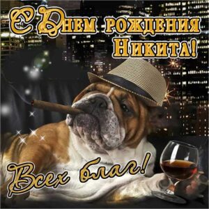 С днем рождения Никита картинки, Никите открытка с днем рождения, Никиша с днем рождения, Никитос с днем рождения анимация, Никиту именины картинки, поздравить Никитоса, для Никиты с днем рождения
